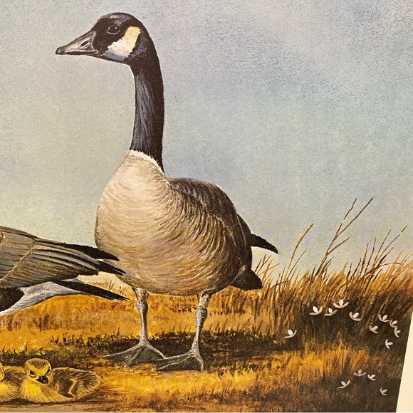 Bob Elegas’s “Responsibility” Goose and Goslings Numbered & Signed Print